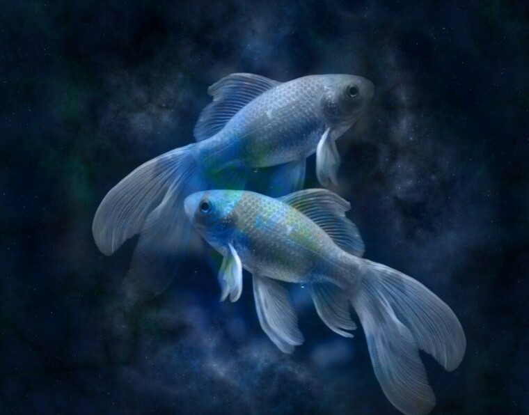 horoskooppi kalat